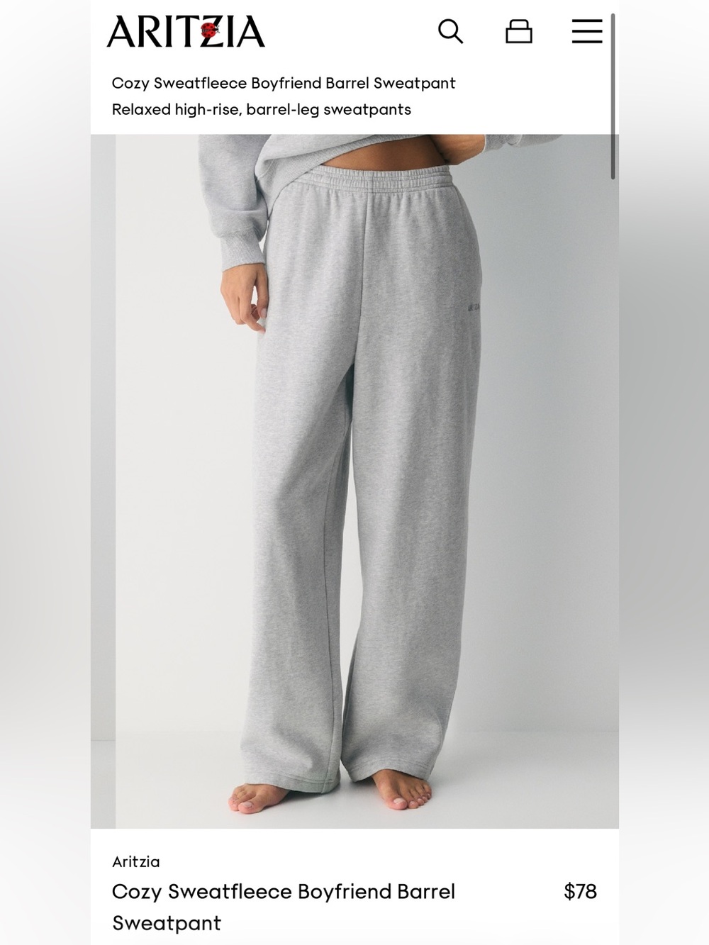 Aritzia Light Gray Cozy Sweatfleece Wide-Leg Sweatpants